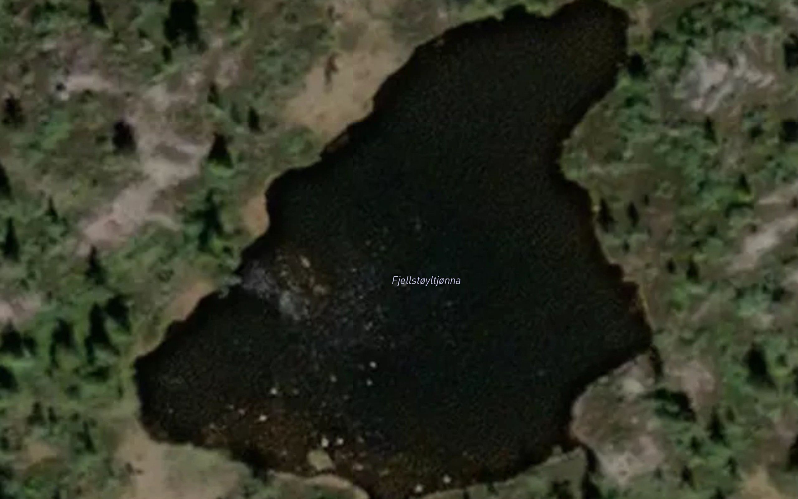 Fjellstoltjorni