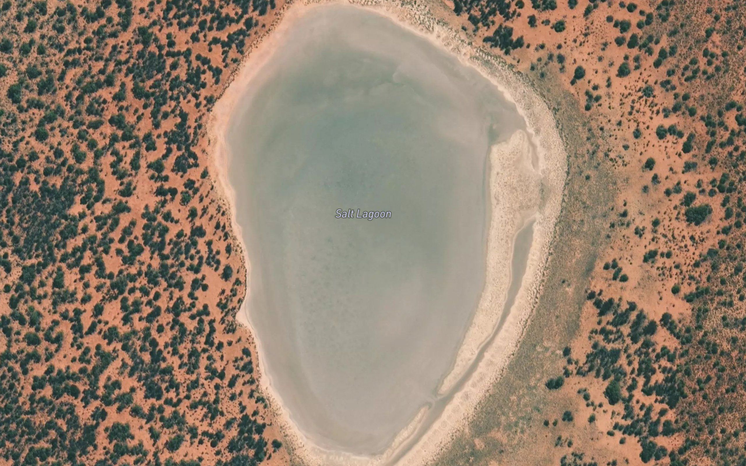 Salt Lagoon