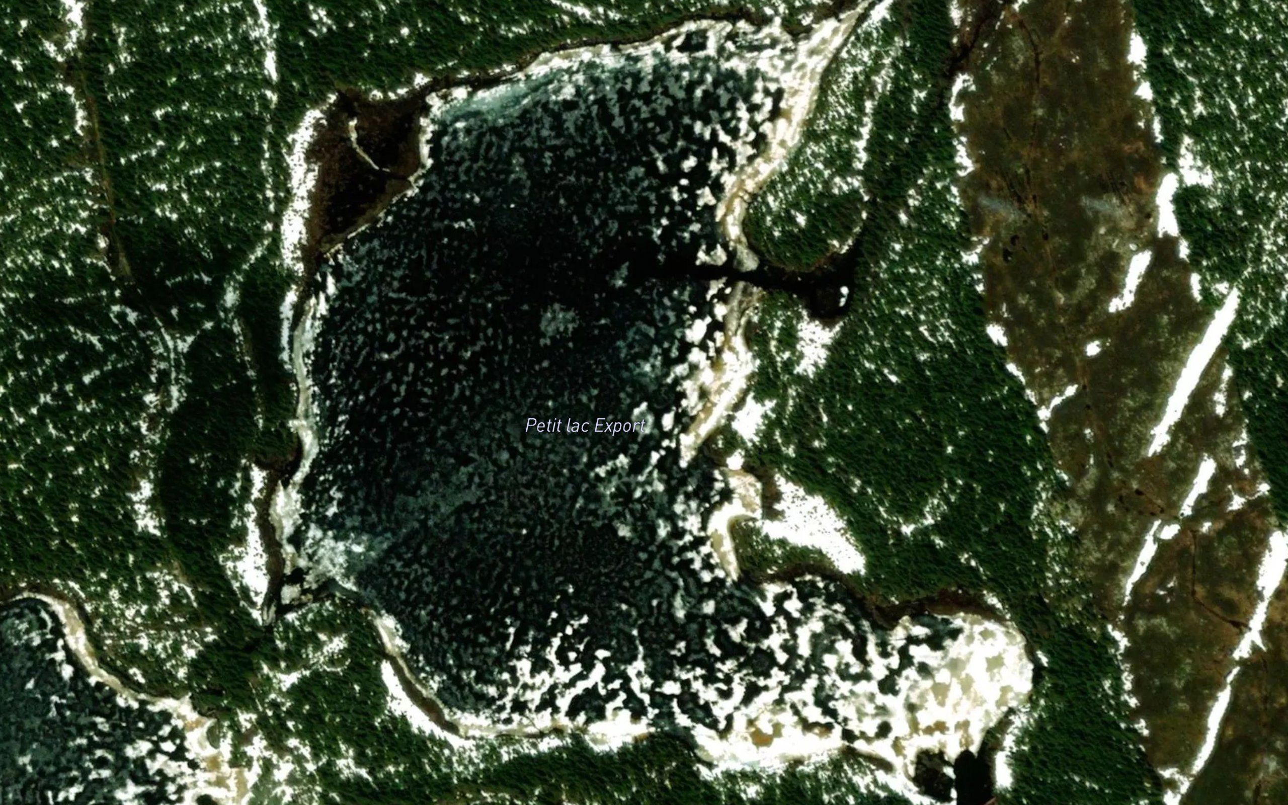 Petit lac Export