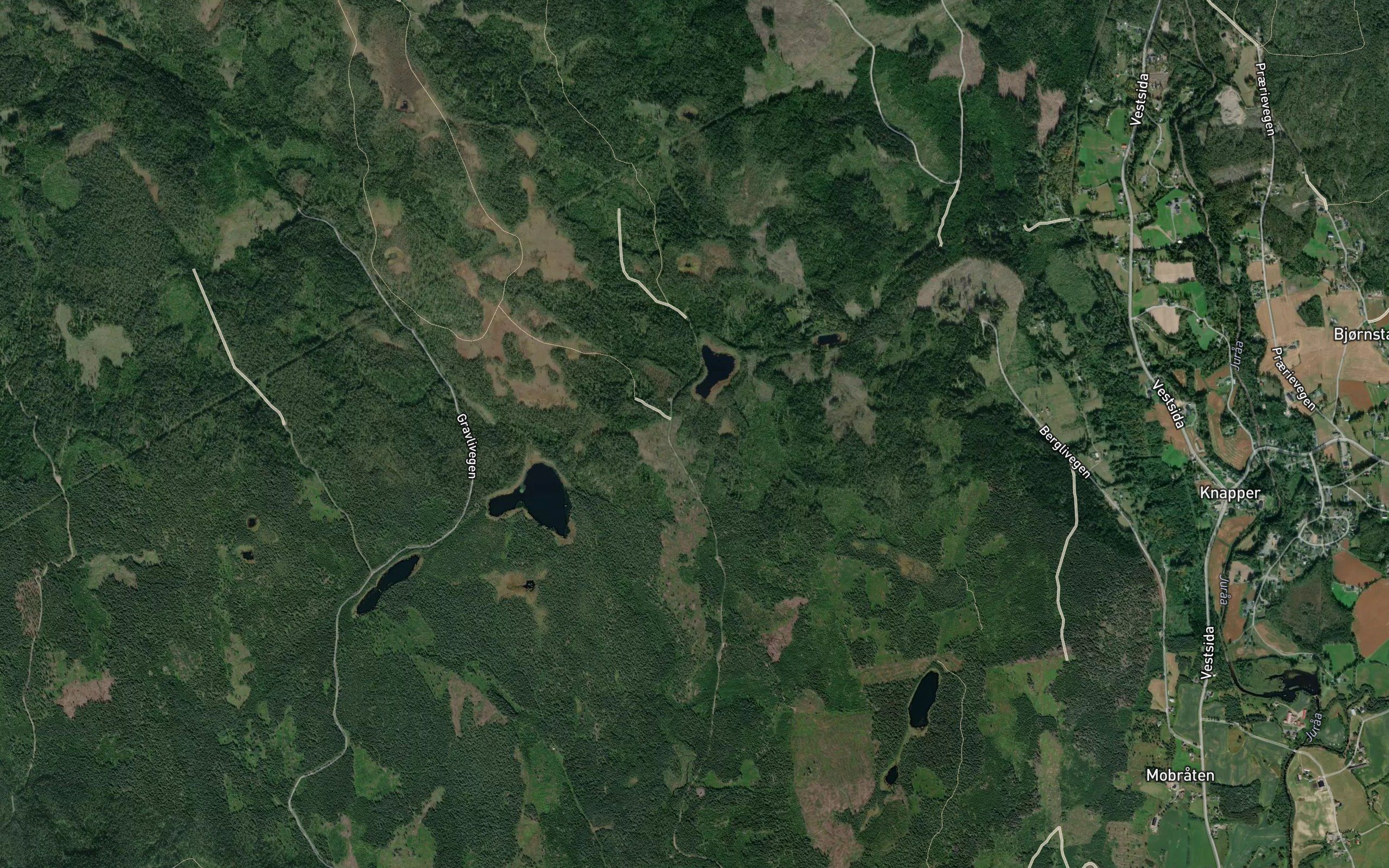 Svarttjennsbekken