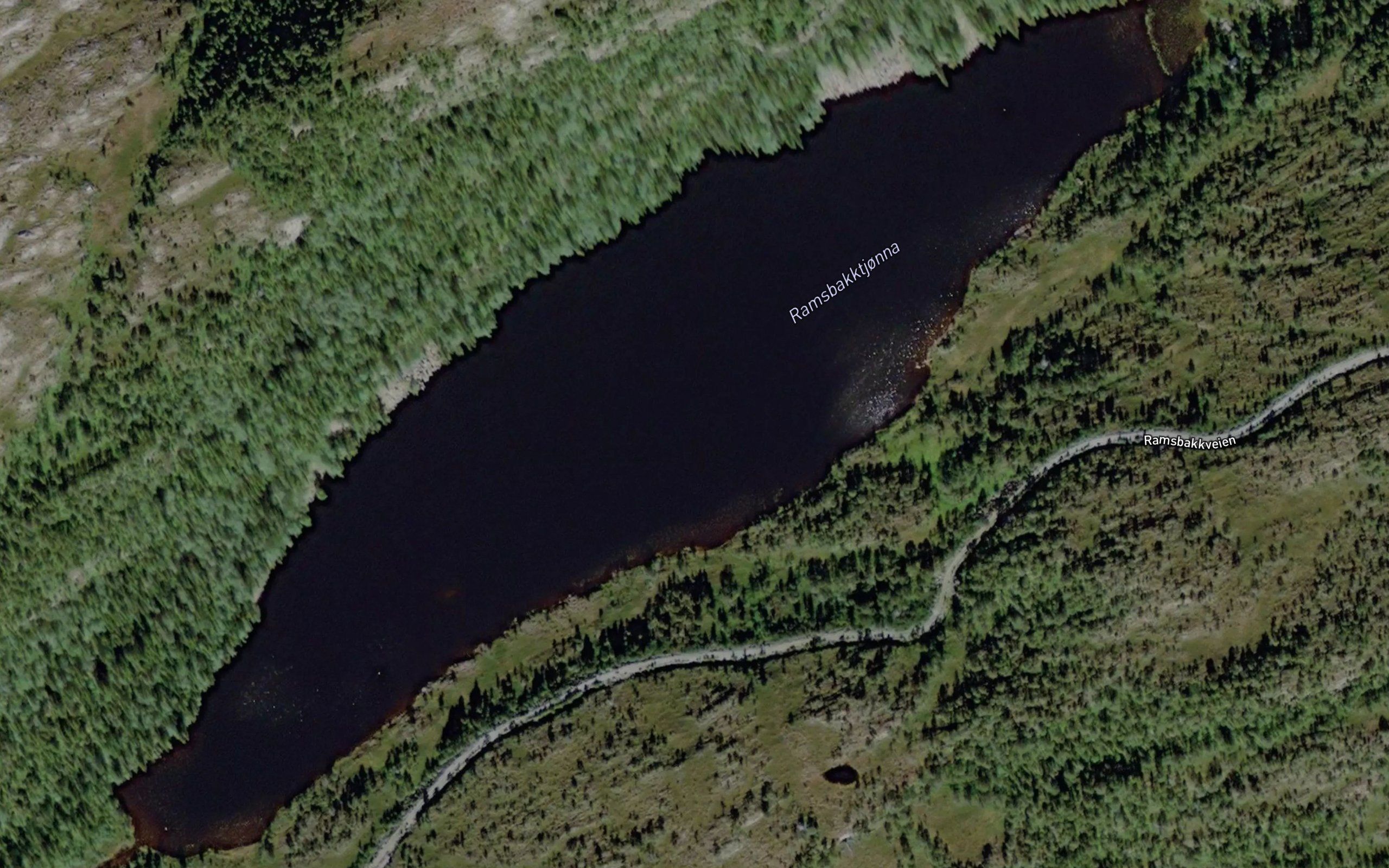 Ramsbakktjorna