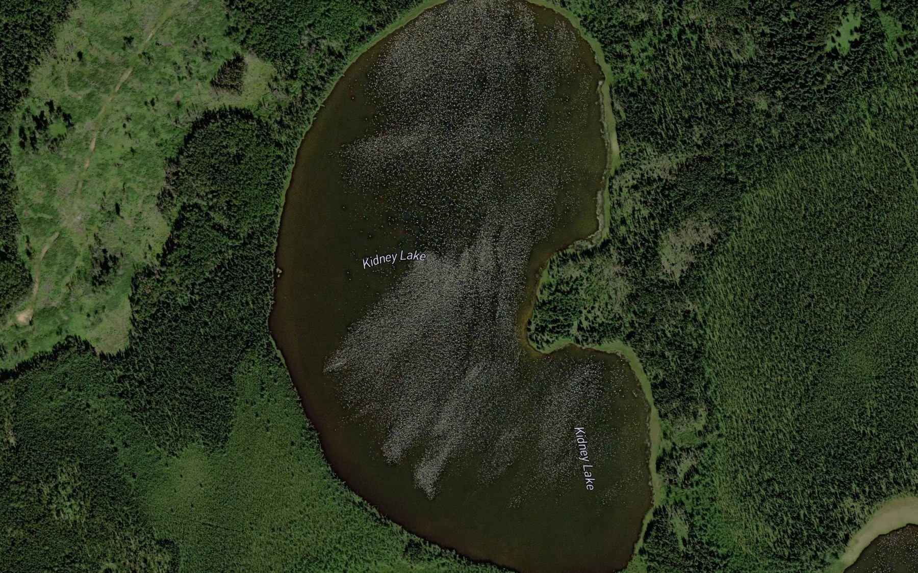 Satellite map of the Kidney Lake