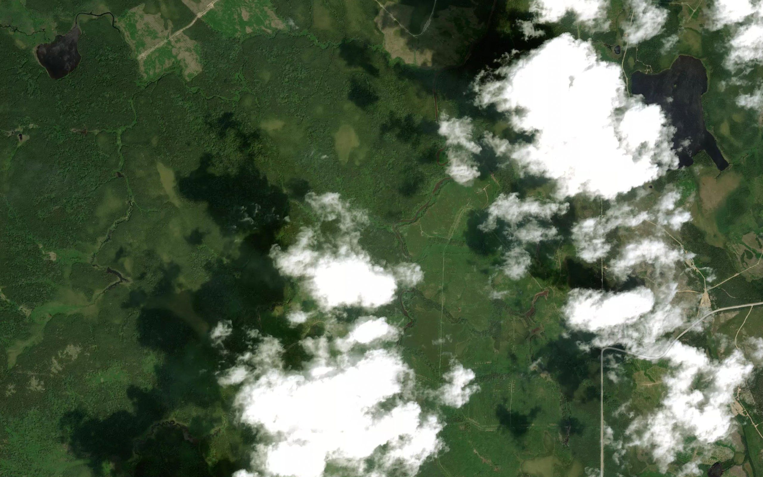 Confluent Kaasaba