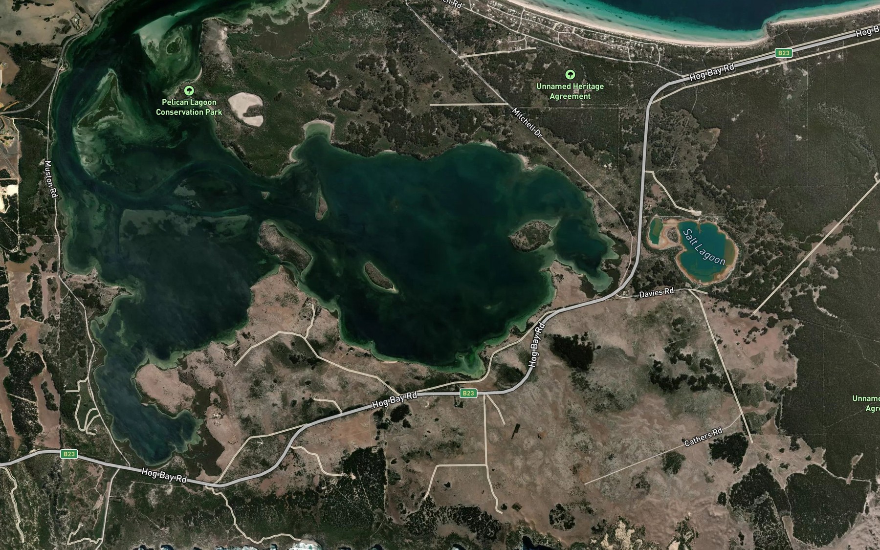 Satellite map of the American River