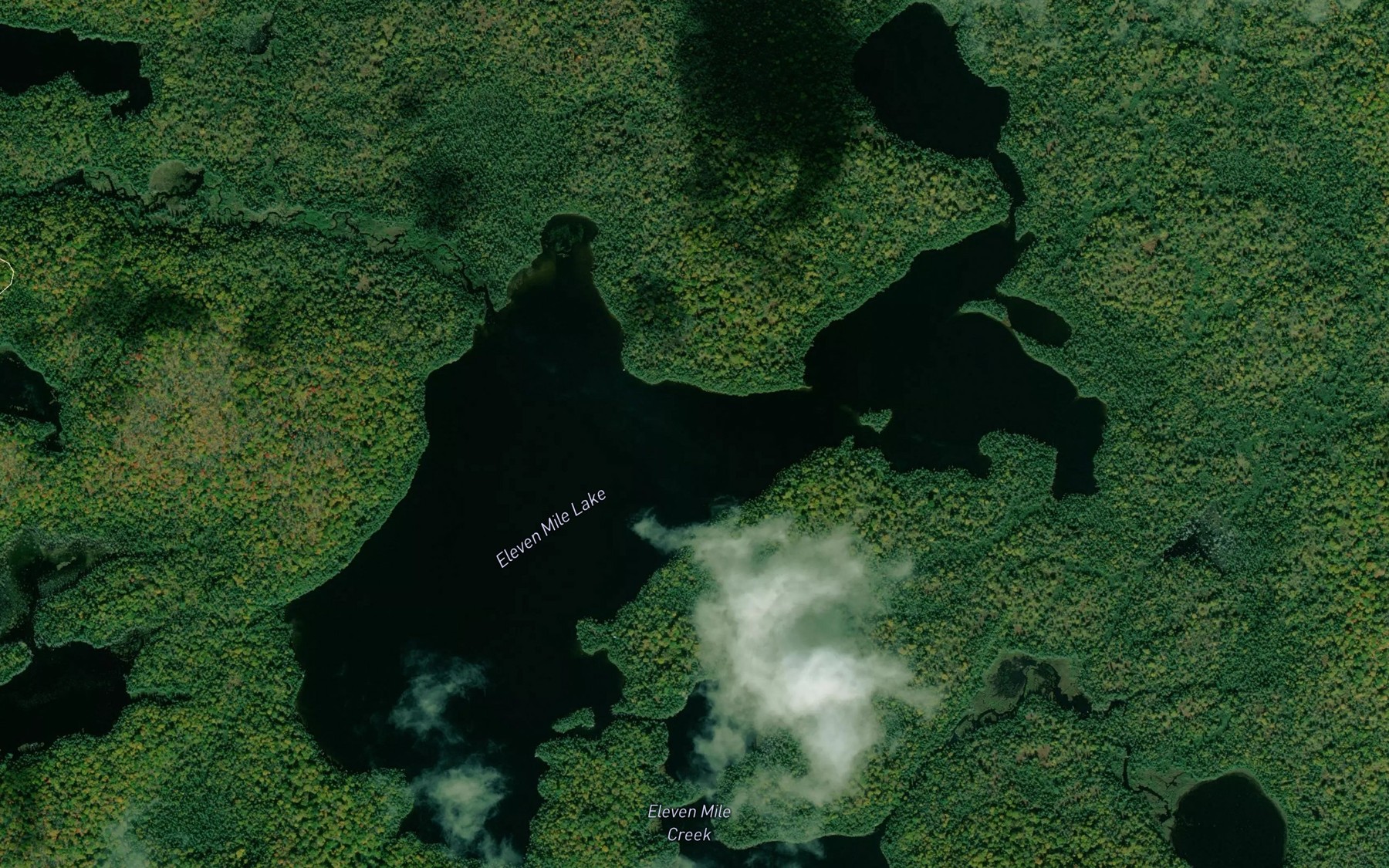 Satellite map of the Eleven Mile Lake