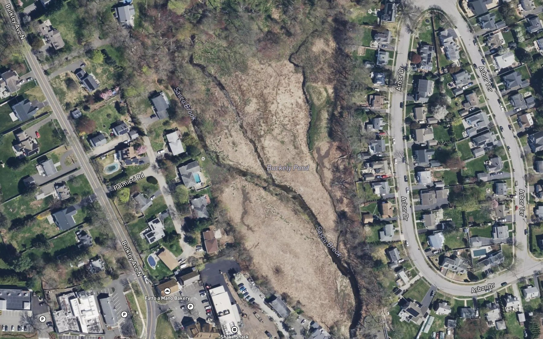 Satellite map of the Bulkley Pond