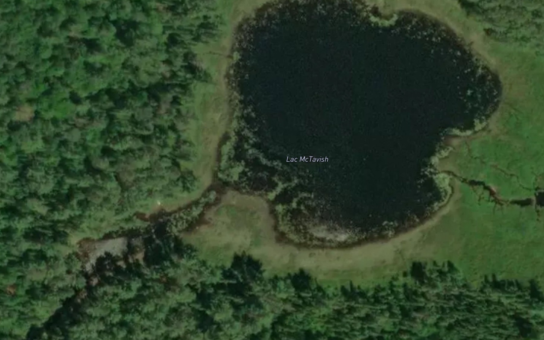 Satellite map of the Lac McTavish