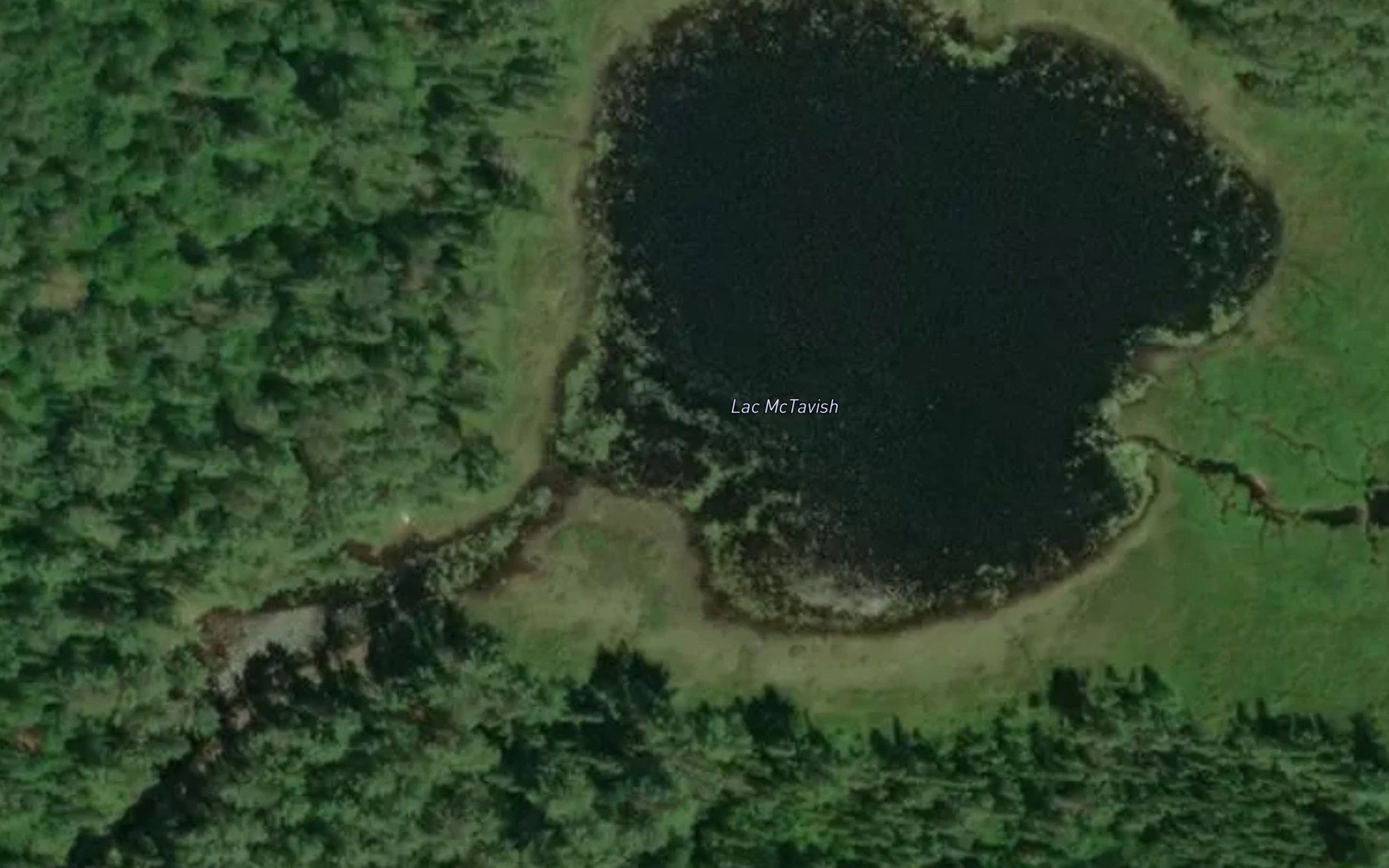Lac McTavish
