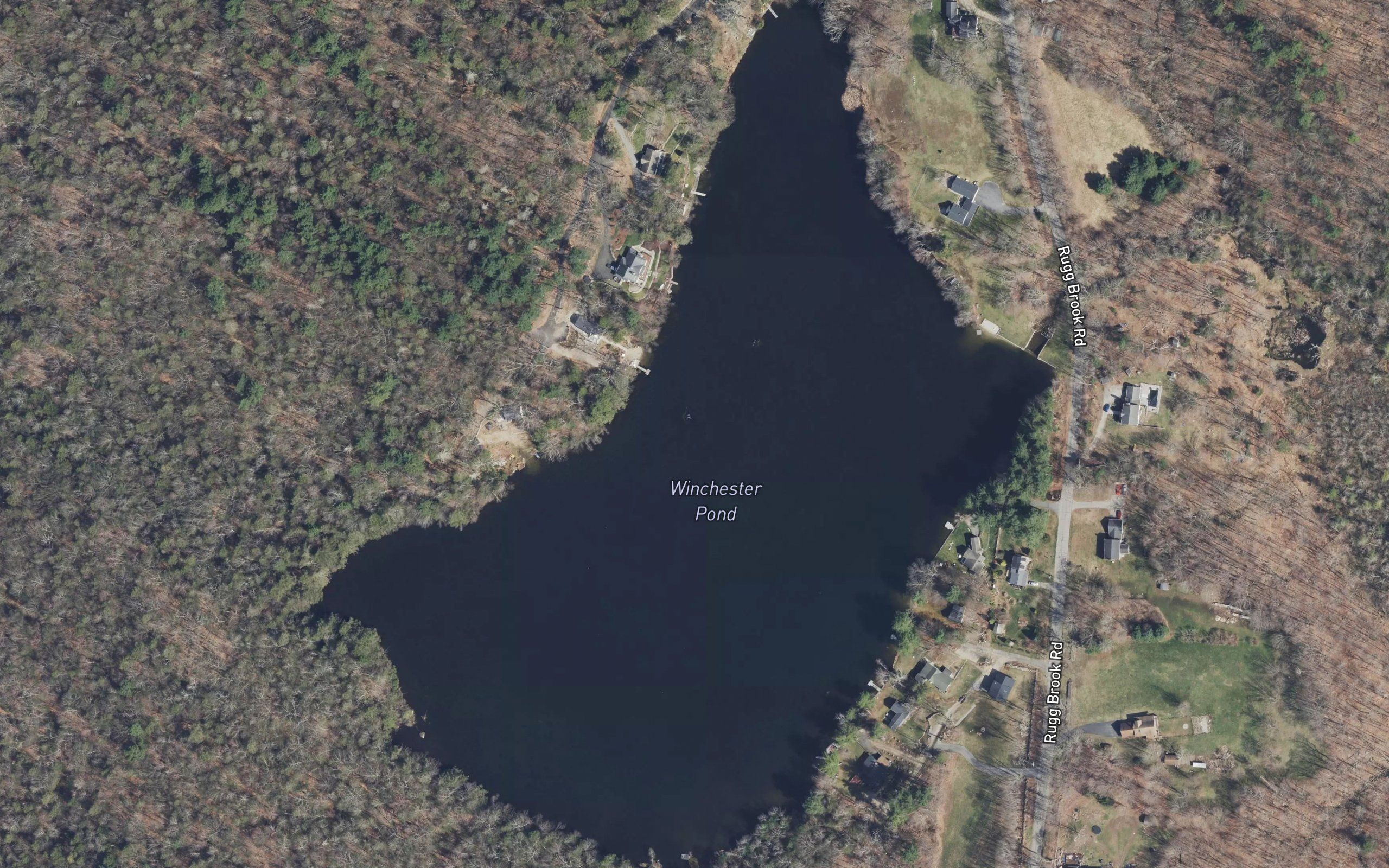 Winchester Club Pond