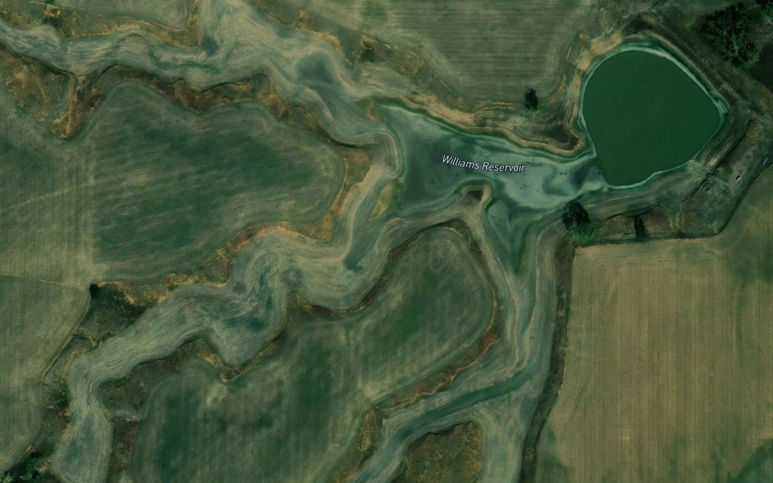 Williams Reservoir