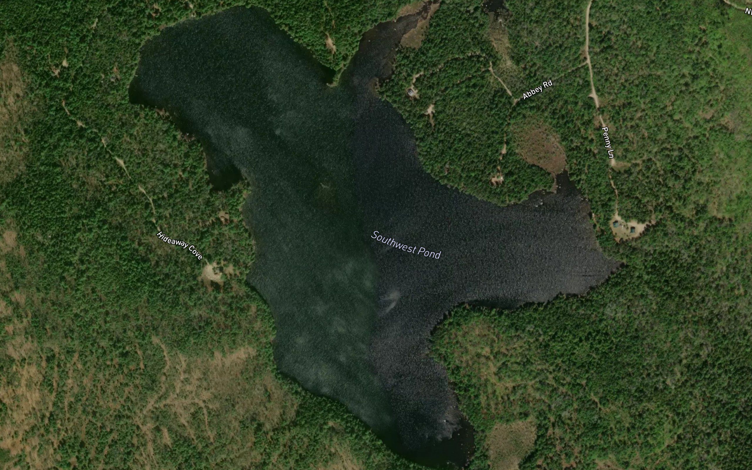 Southwest Pond