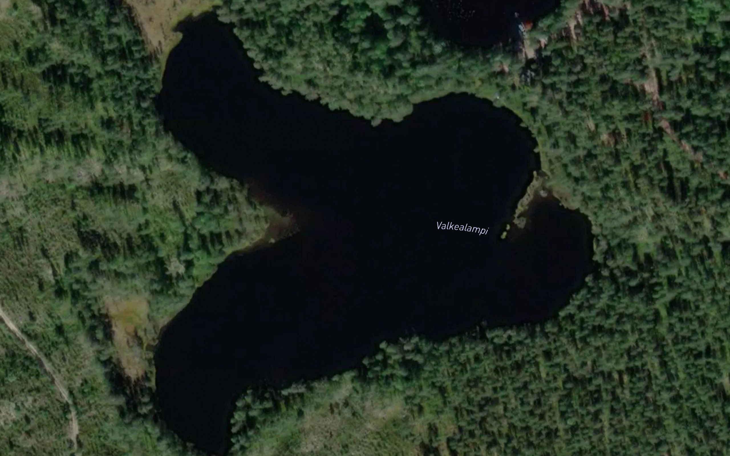 Valkealampi