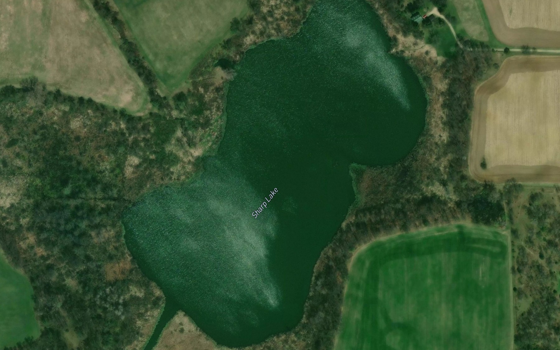 Satellite map of the Sharp Lake