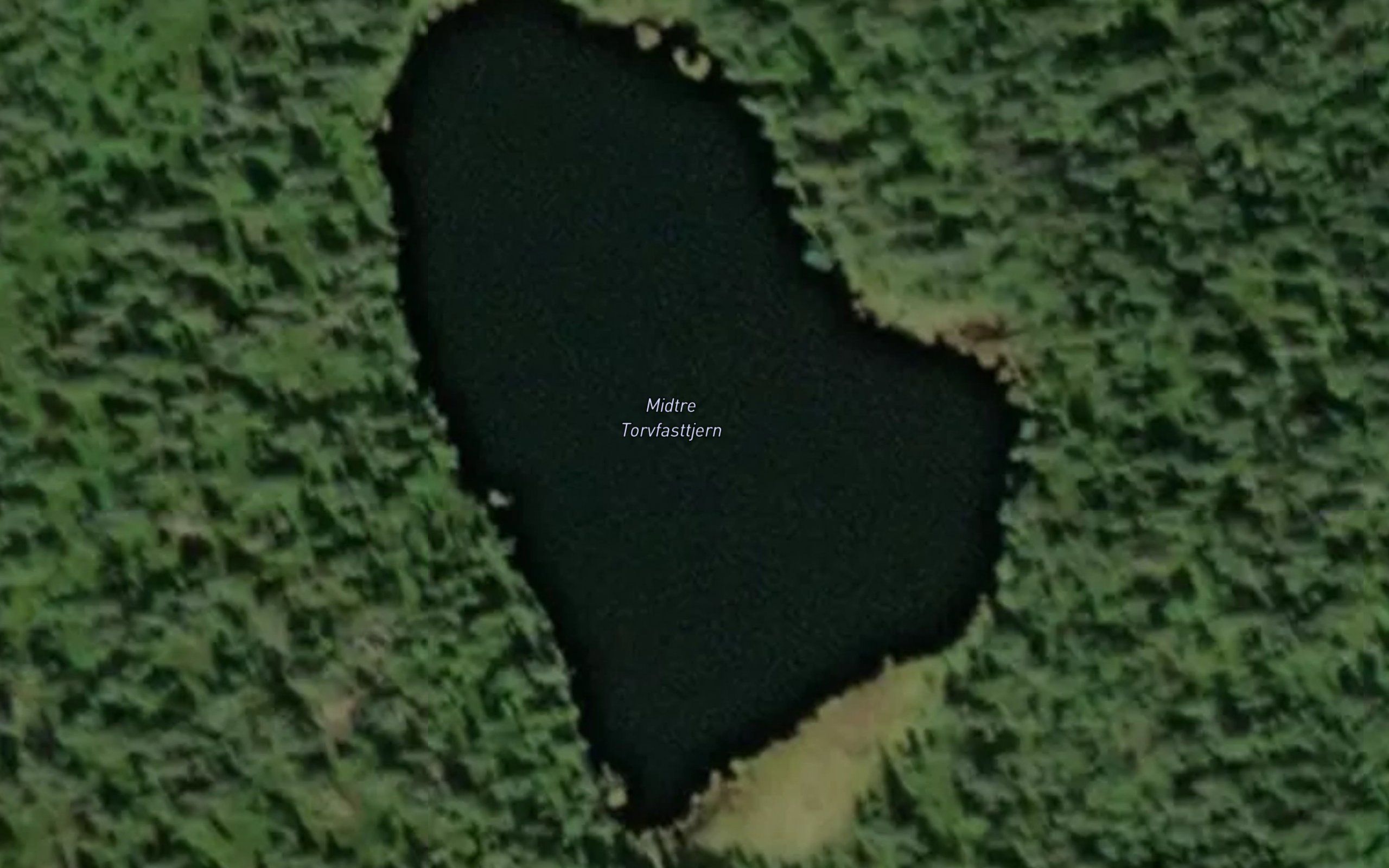 Midtre Torvfesttjern
