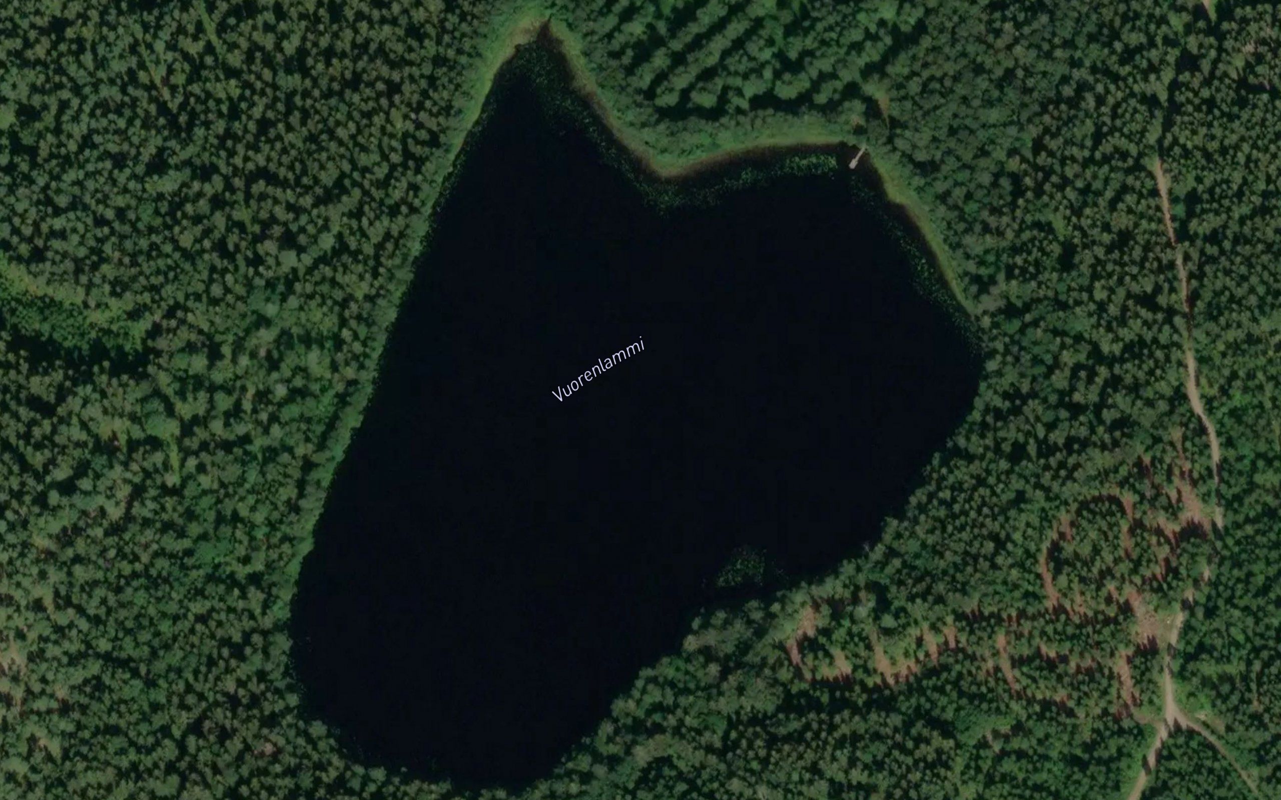 Vuorenlammi