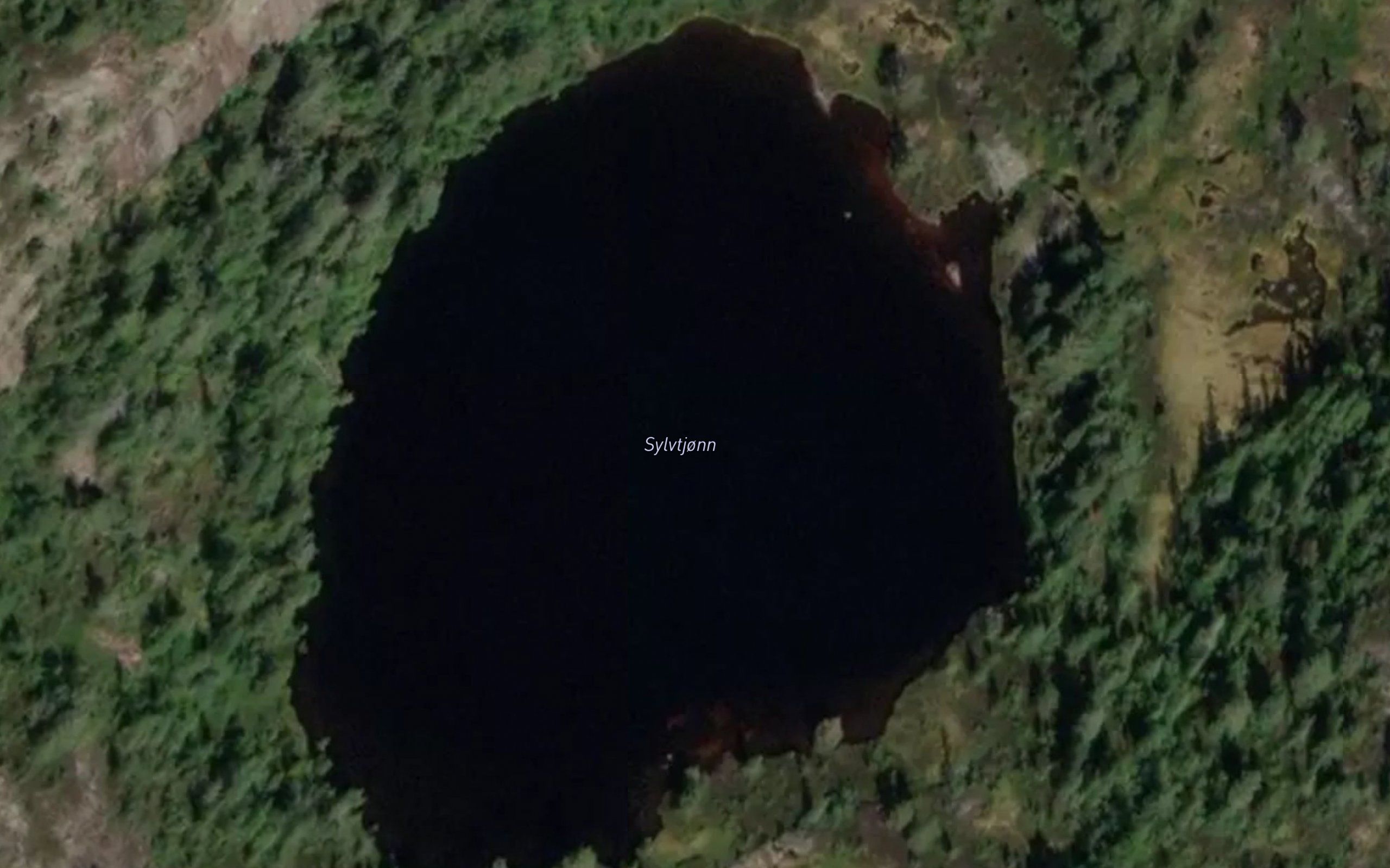 Sylvtjonn