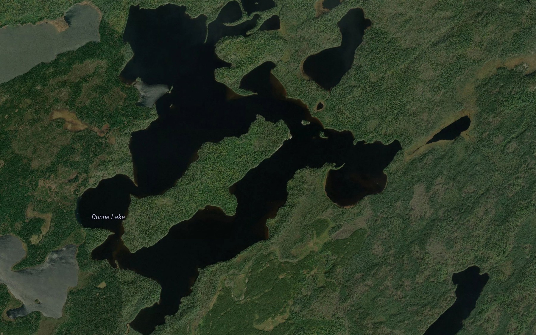 Satellite map of the Dunne Lake