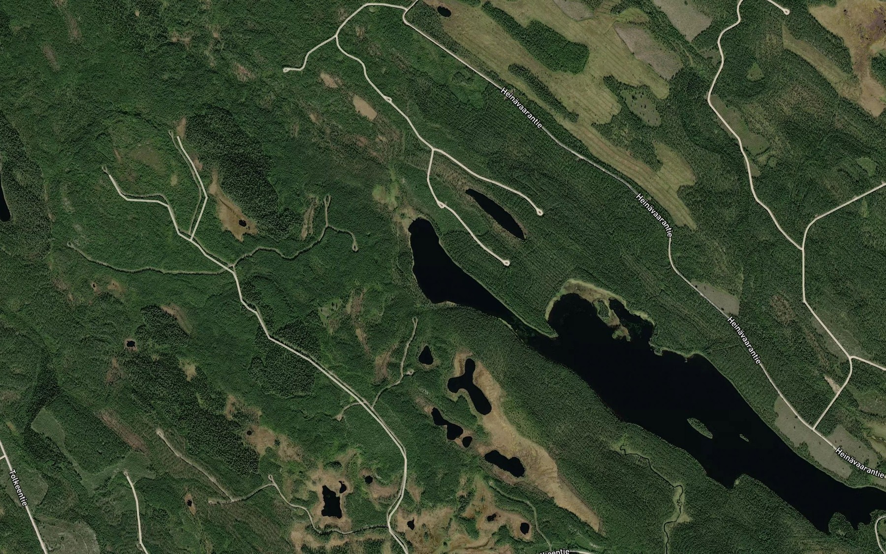 Satellite map of the Pitkalahti