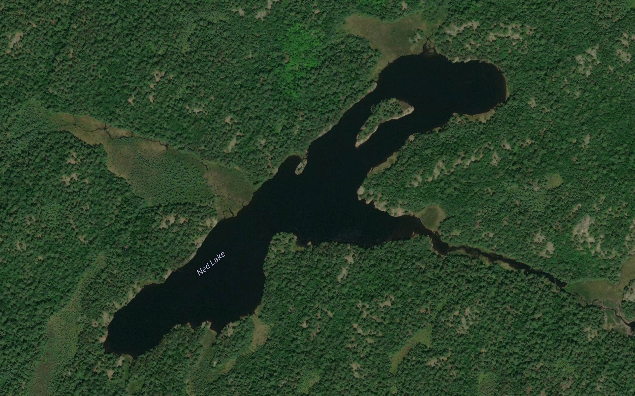 Ned Lake