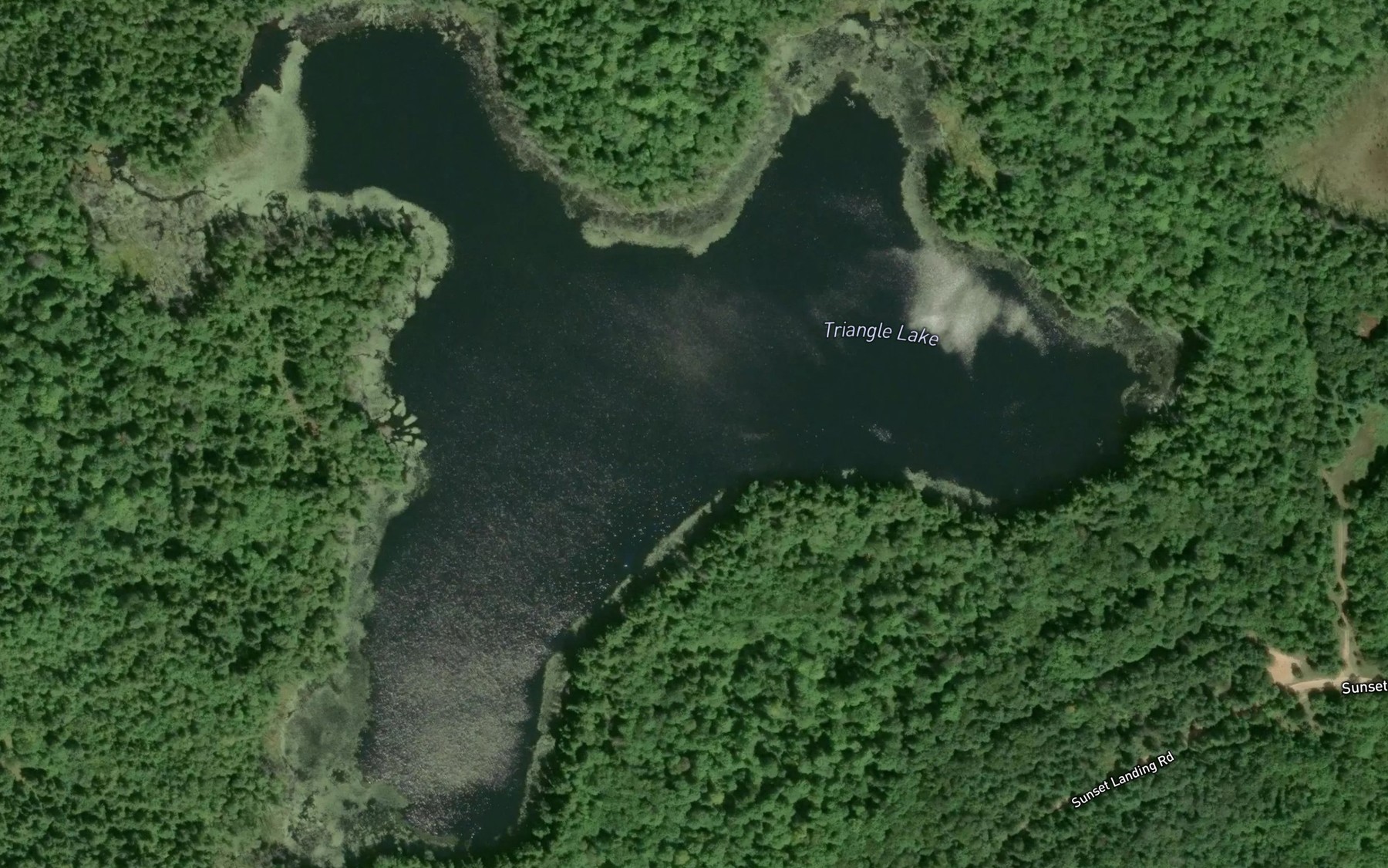 Satellite map of the Triangle Lake