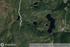 Hovtjorn,l