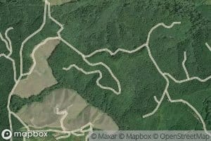Surprise Creek