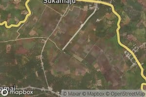 Dutula Lobunga