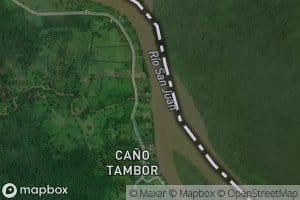 Cano Tambor