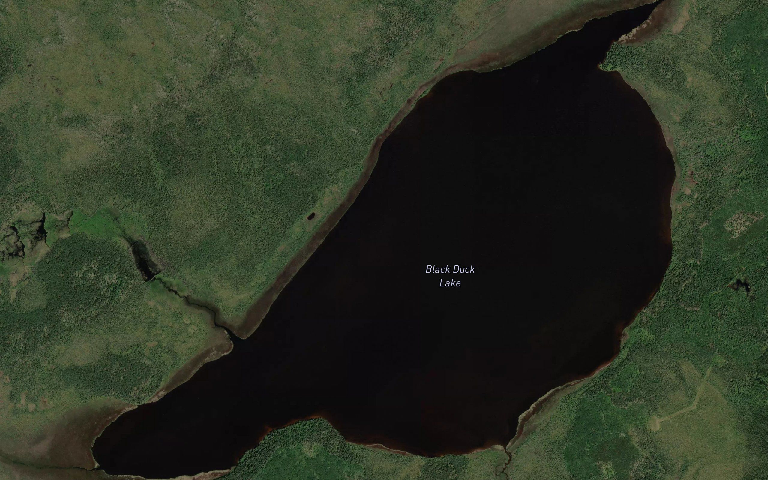 Black Duck Lake