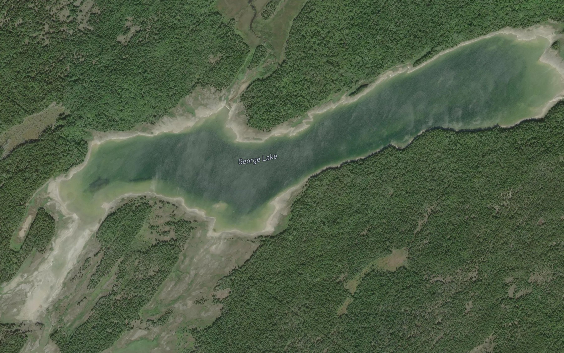 Satellite map of the George Lake