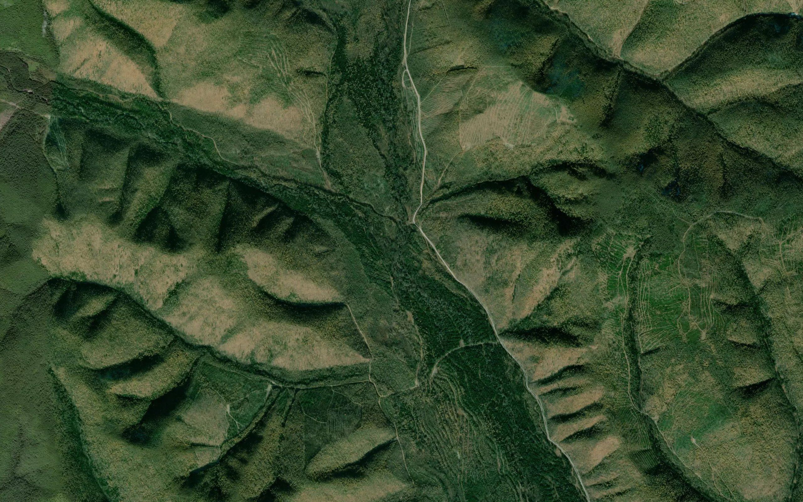 Levyy Sonakh