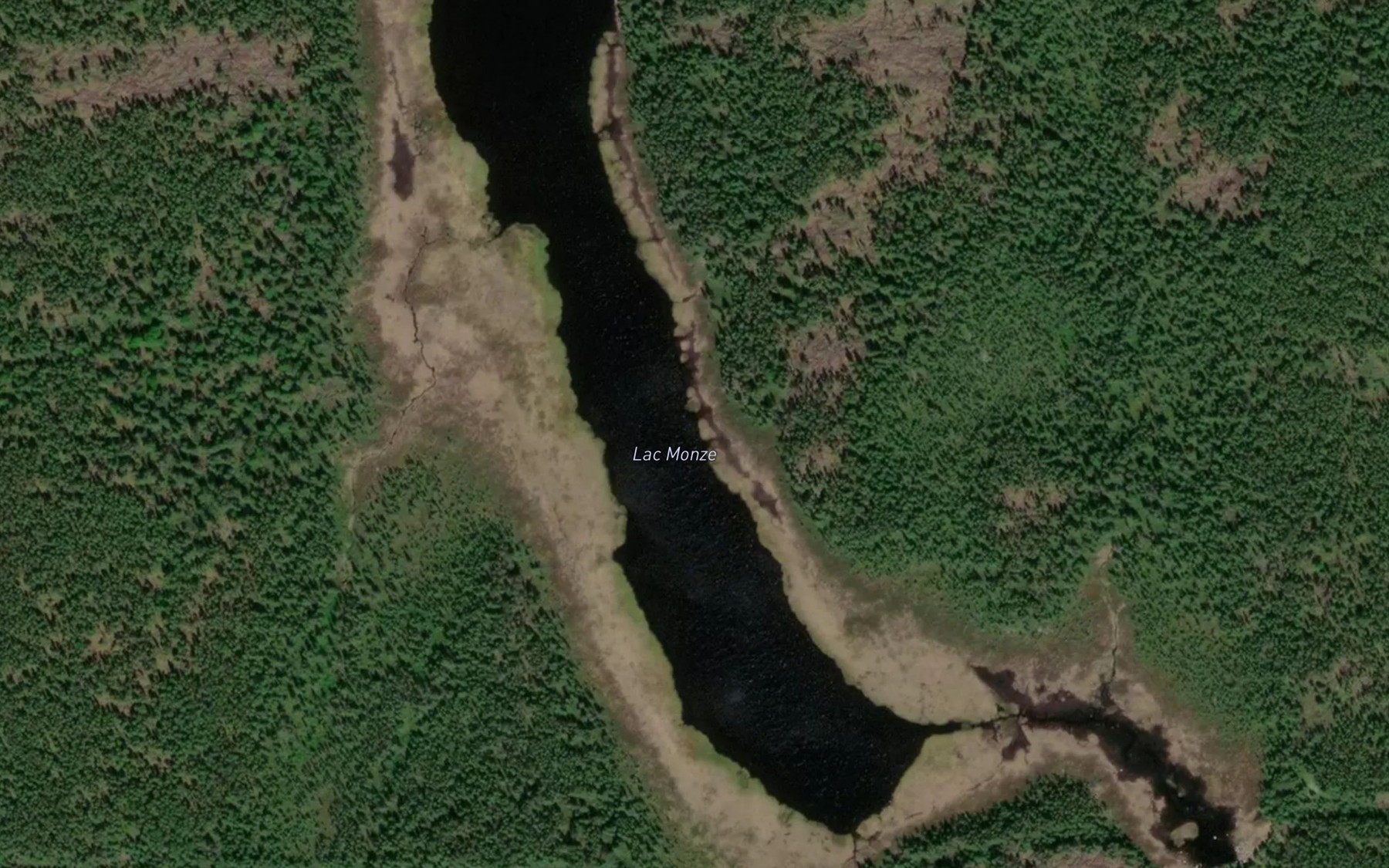Satellite map of the Lac Monze