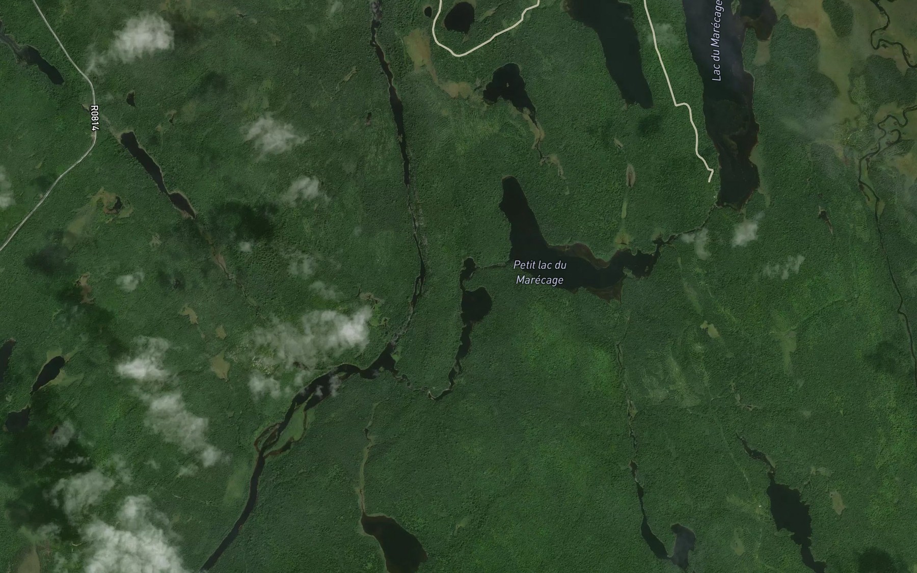 Satellite map of the Rapides Elliot