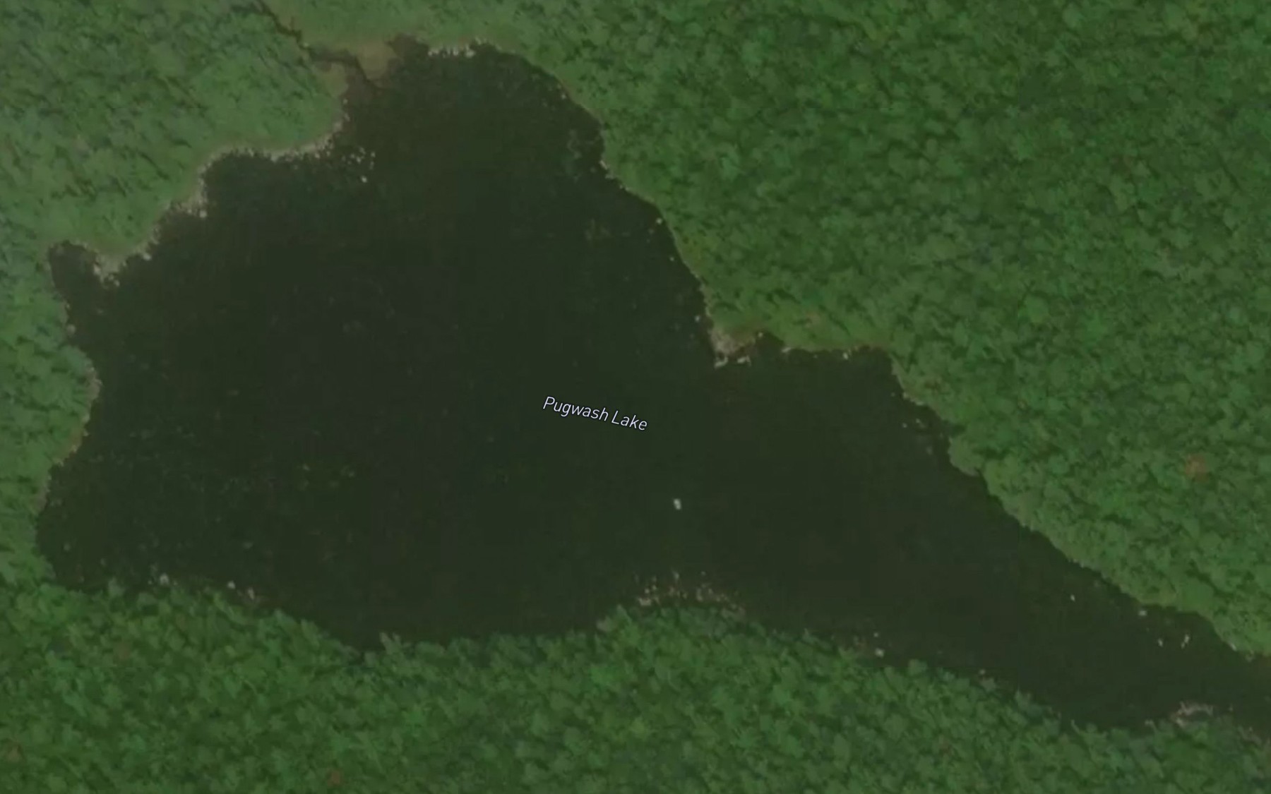 Satellite map of the Pugwash Lake