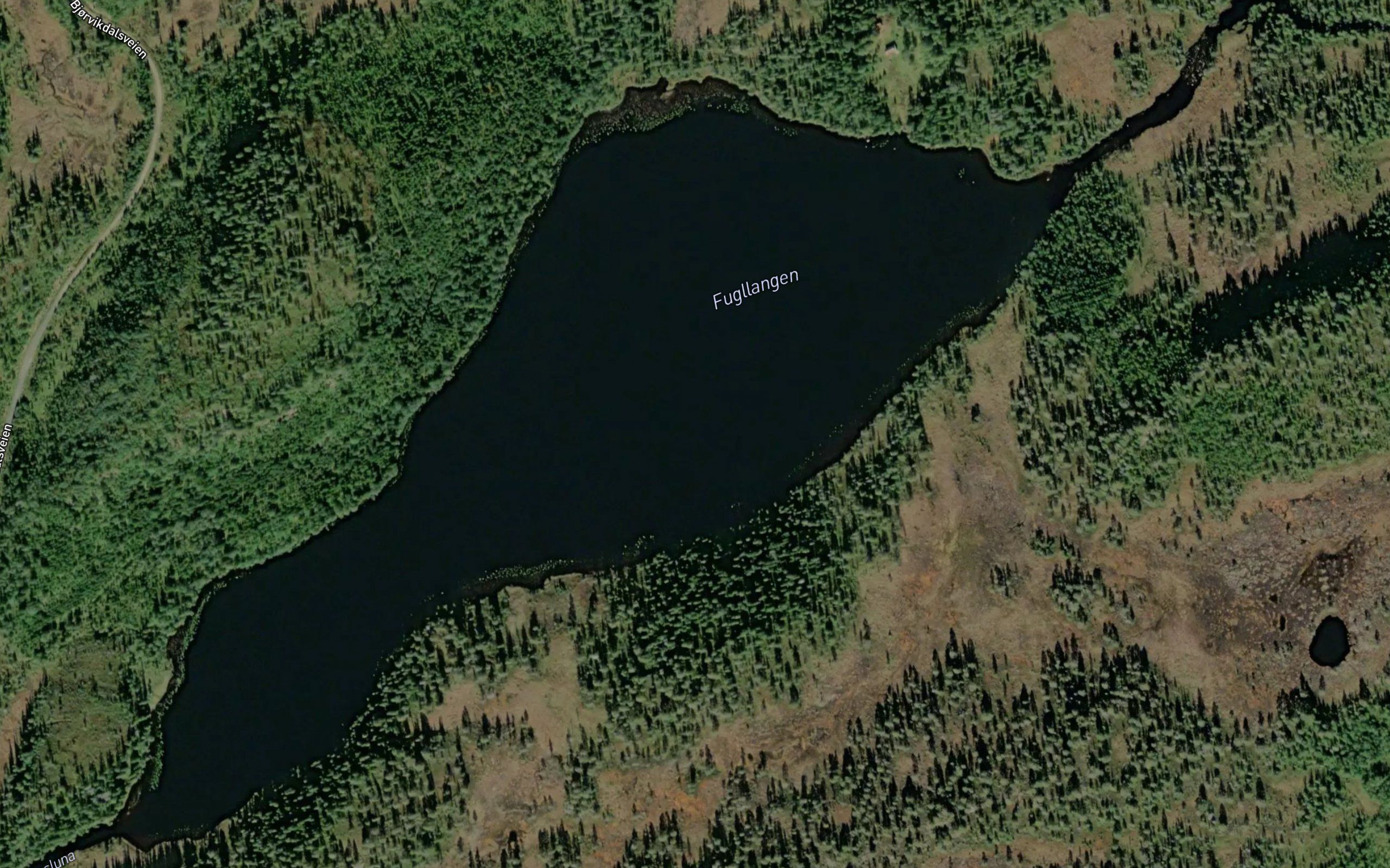 Fugllangen