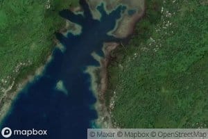 Wonip Mangrove Swamps