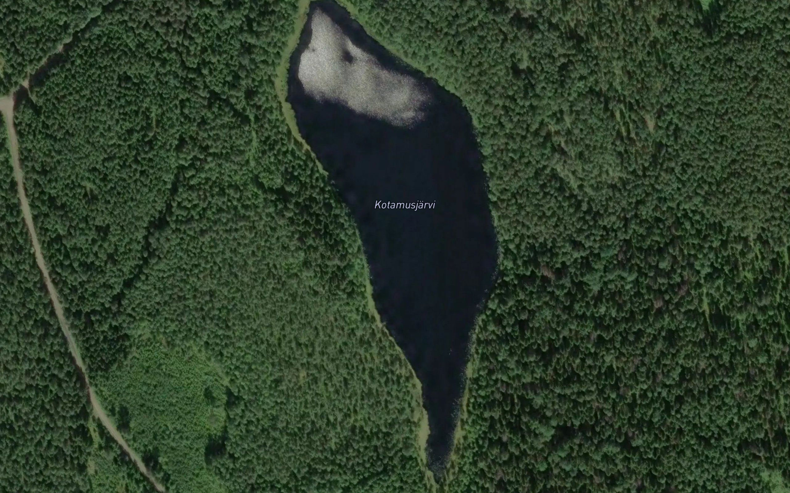 Kotamusjarvi