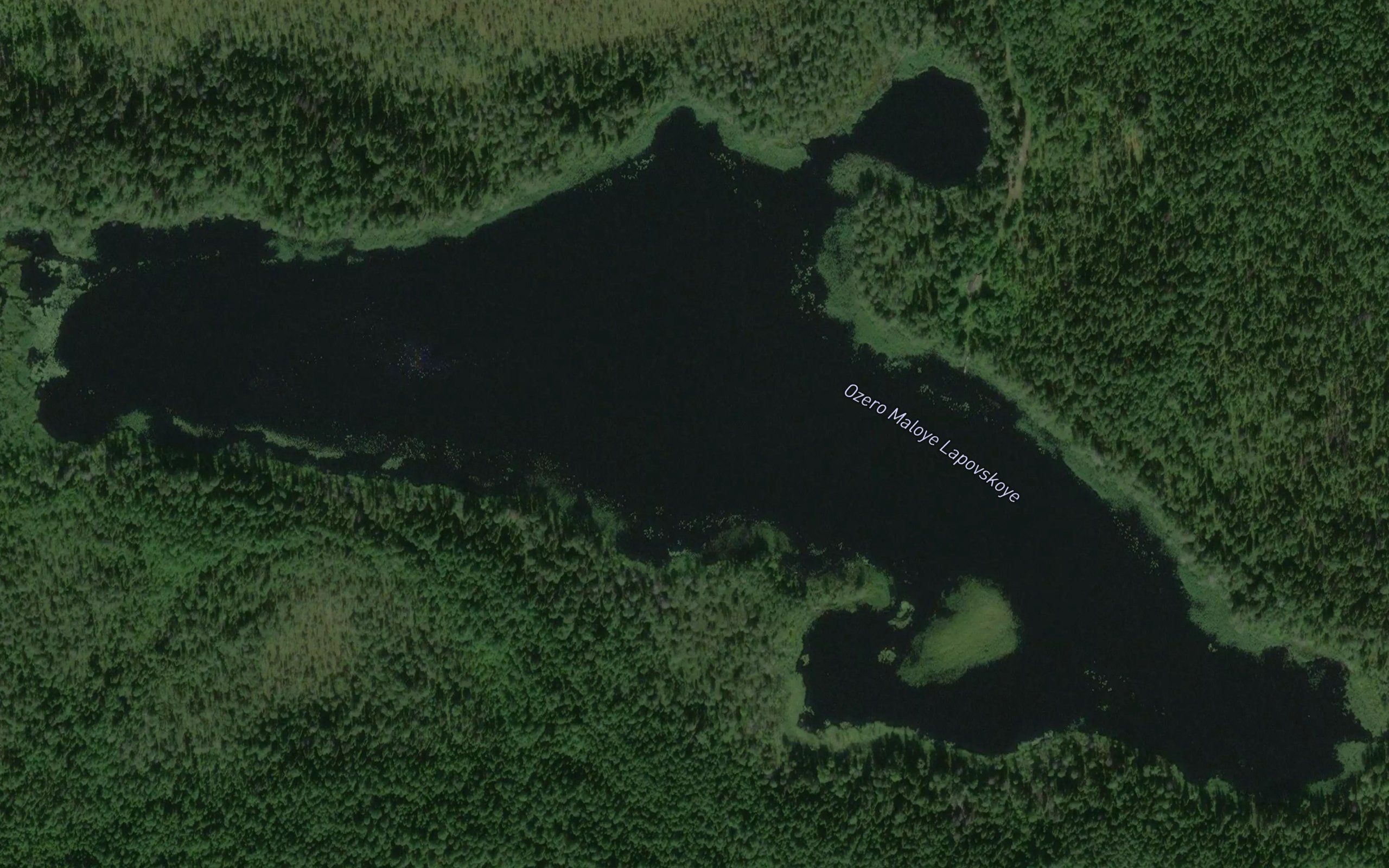 Ozero Maloye Lapovskoye