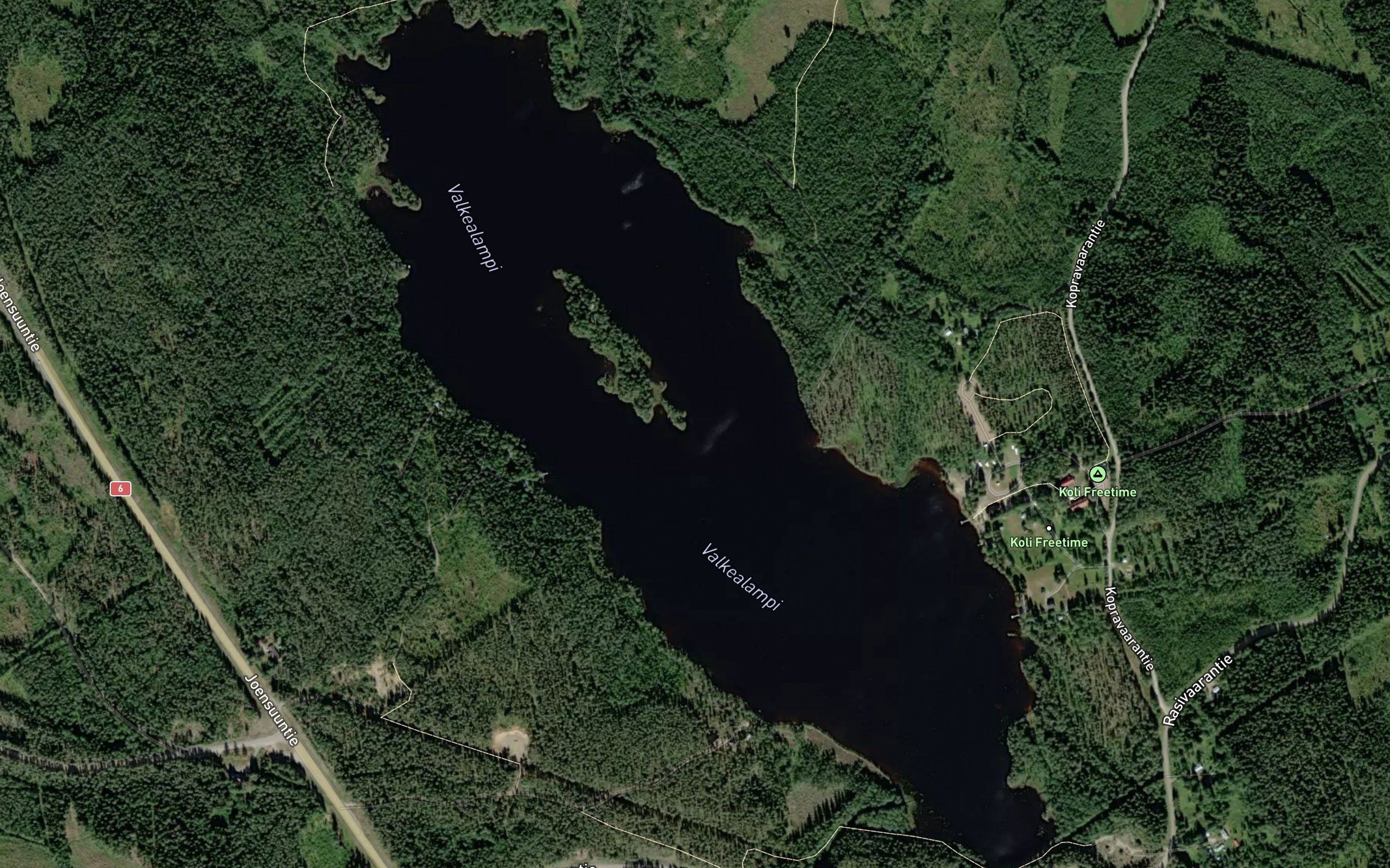 Valkealampi