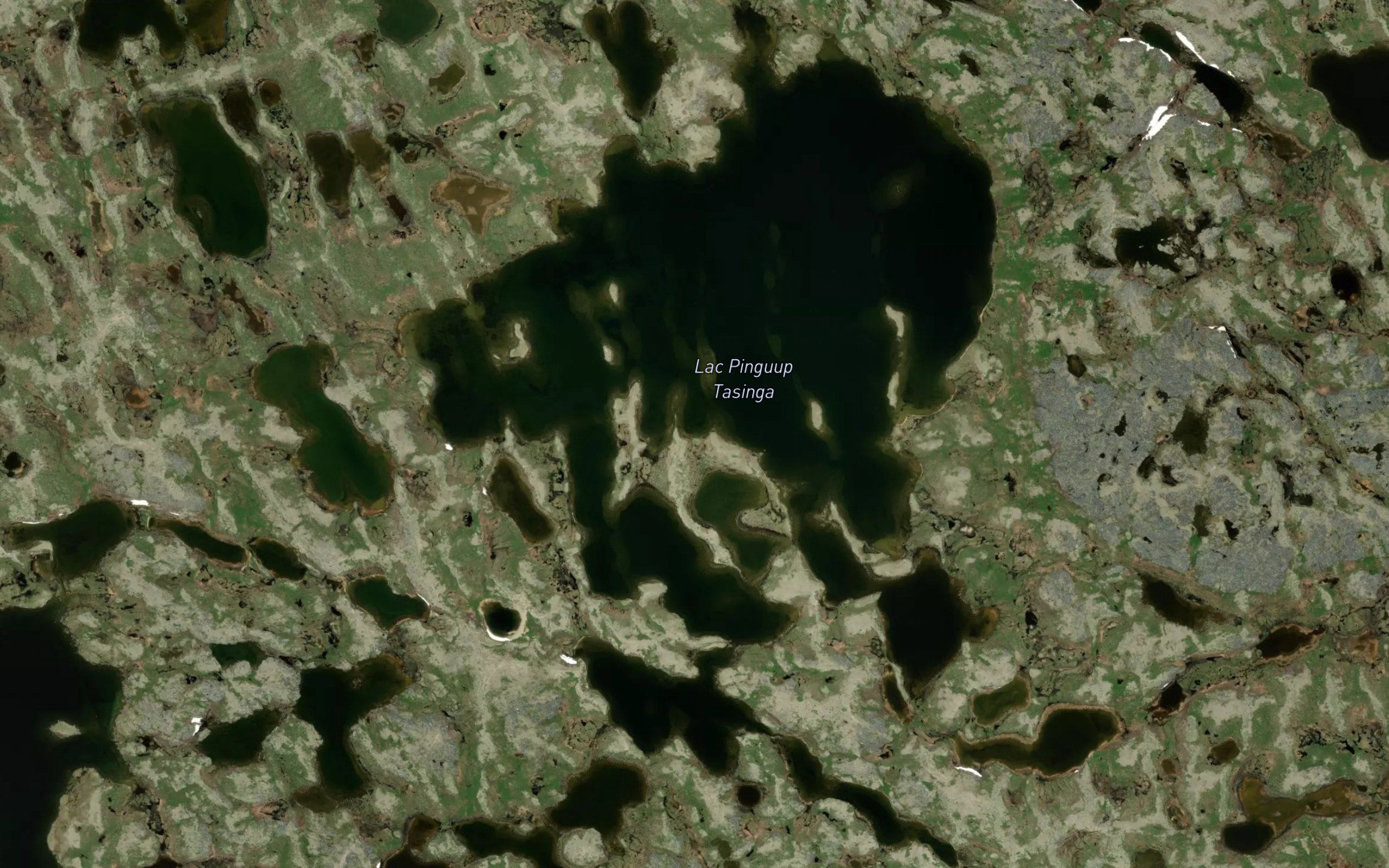Lac Pinguup Tasinga