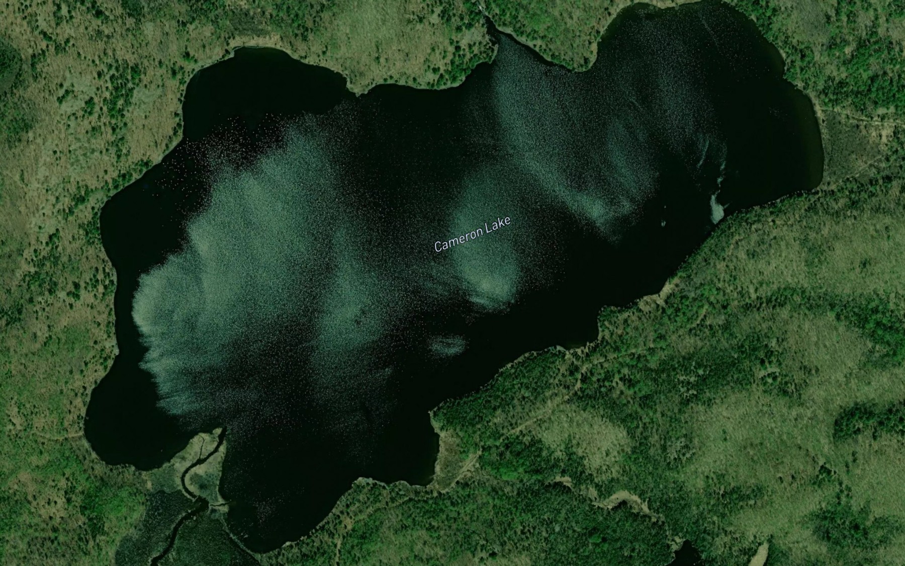 Satellite map of the Cameron Lake