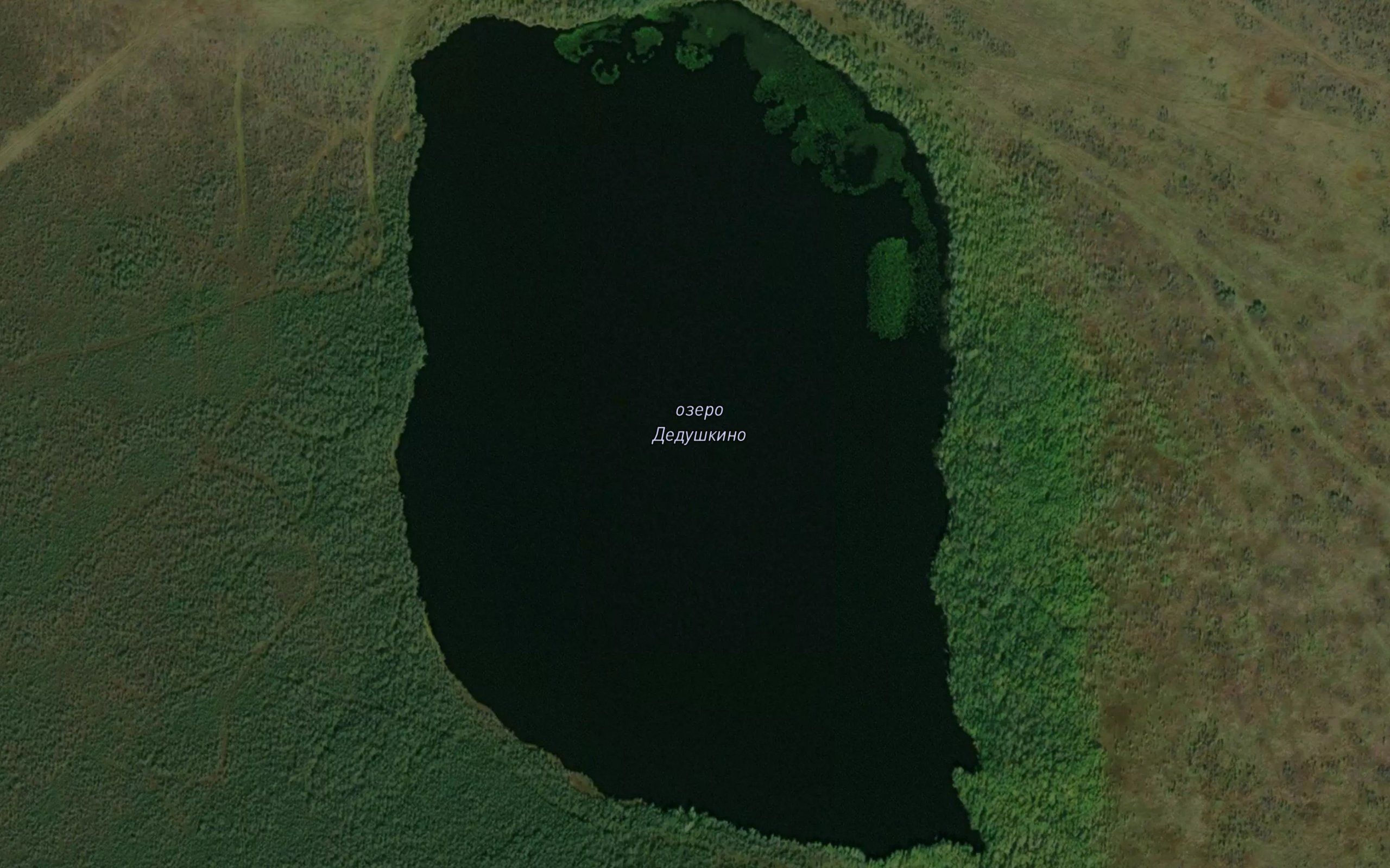 Ozero Dedushkino