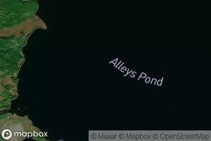 Alleys Pond