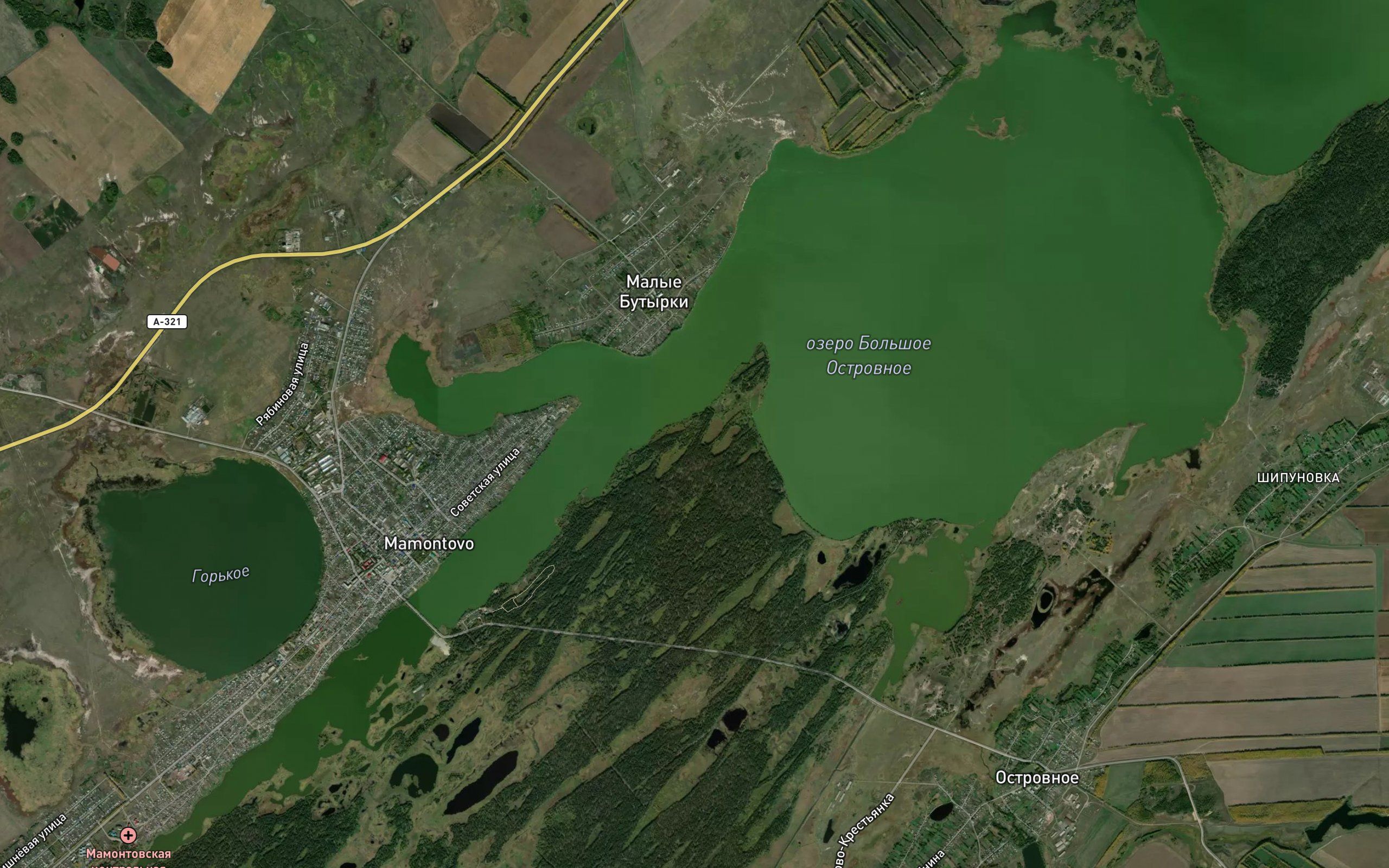 Ozero Bol'shoye Ostrovnoye