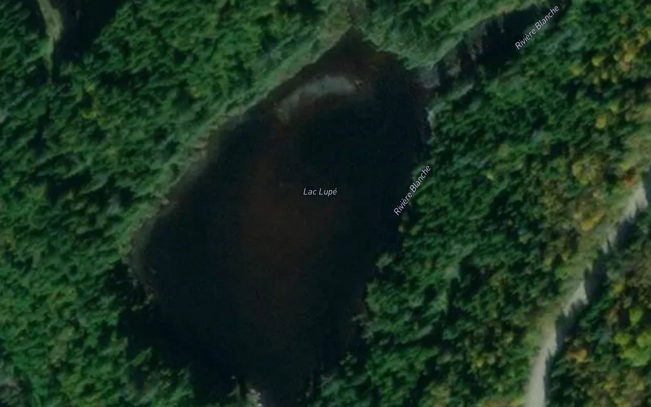Lac Lupe