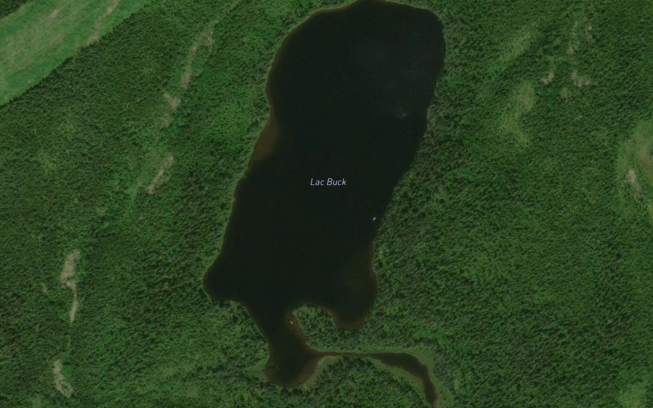 Lac Buck