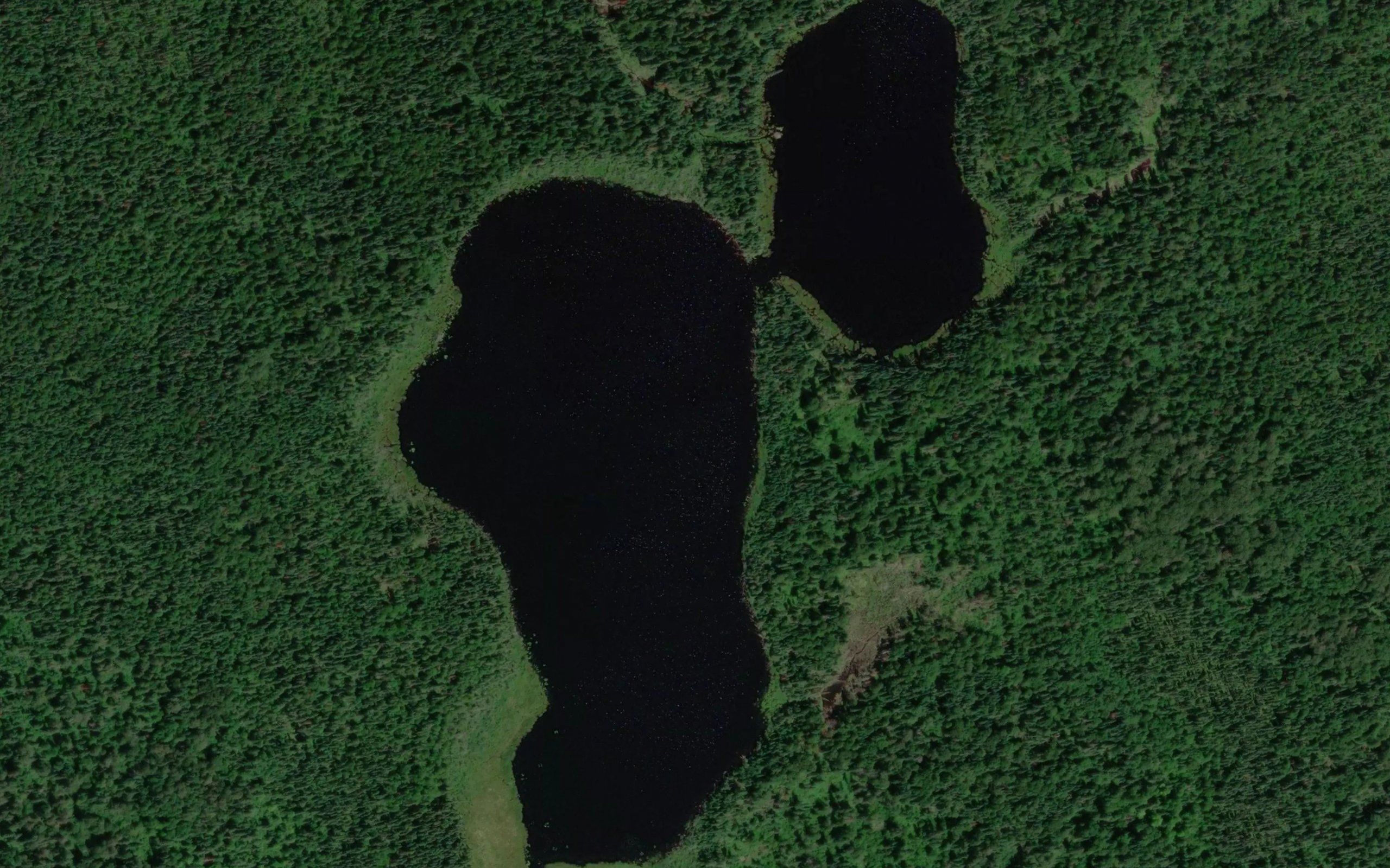 Crawfish Lake