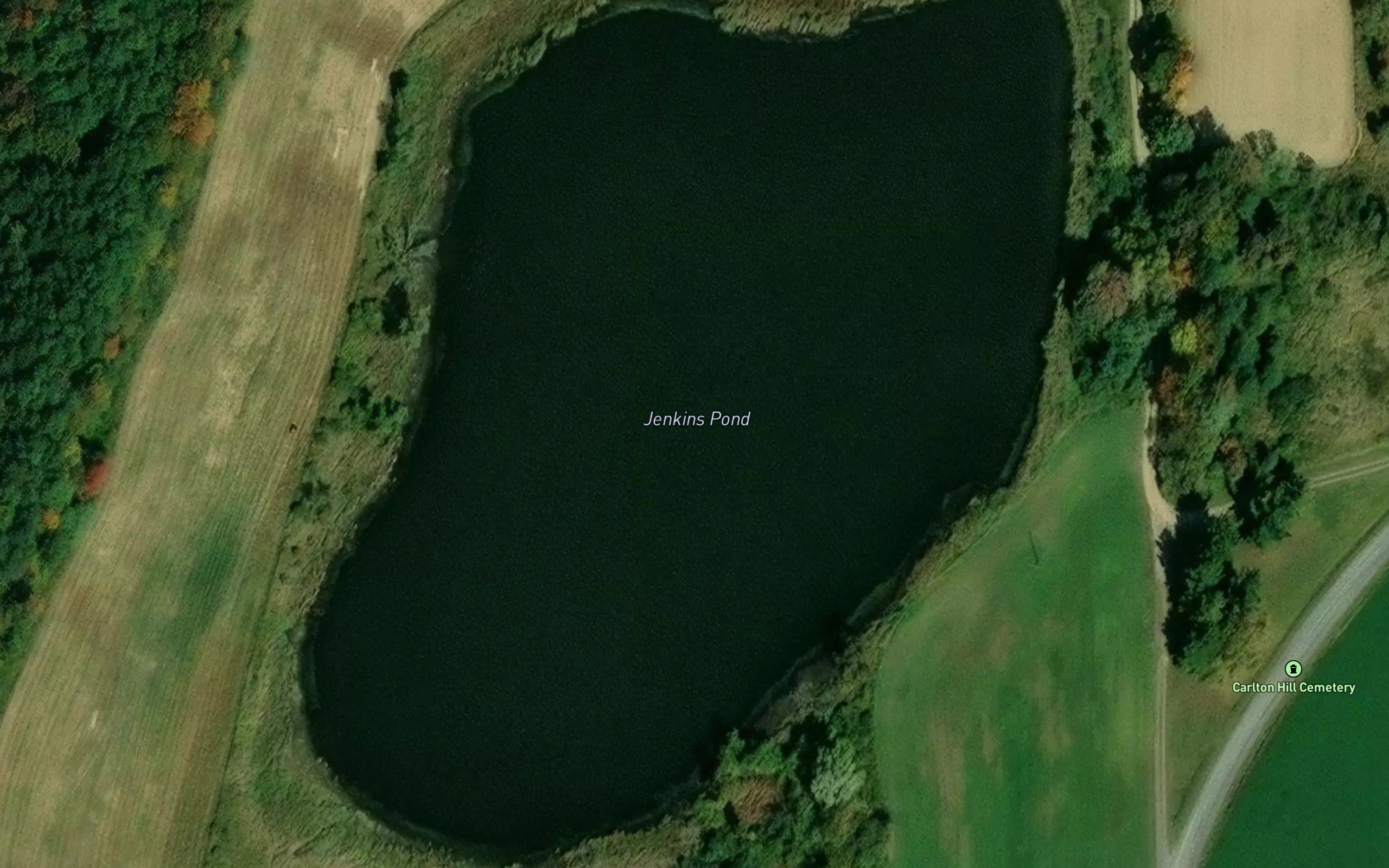 Jenkins Pond