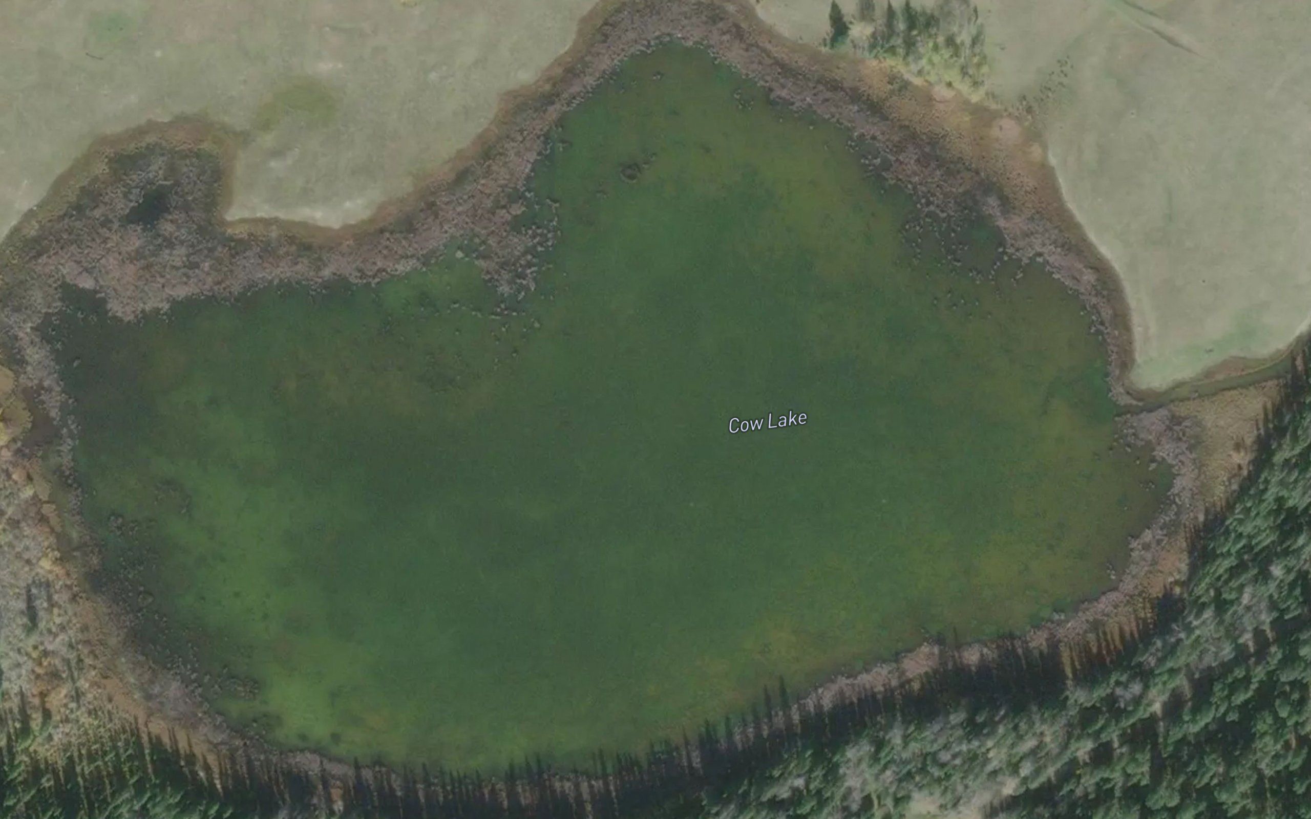 Cow Lake