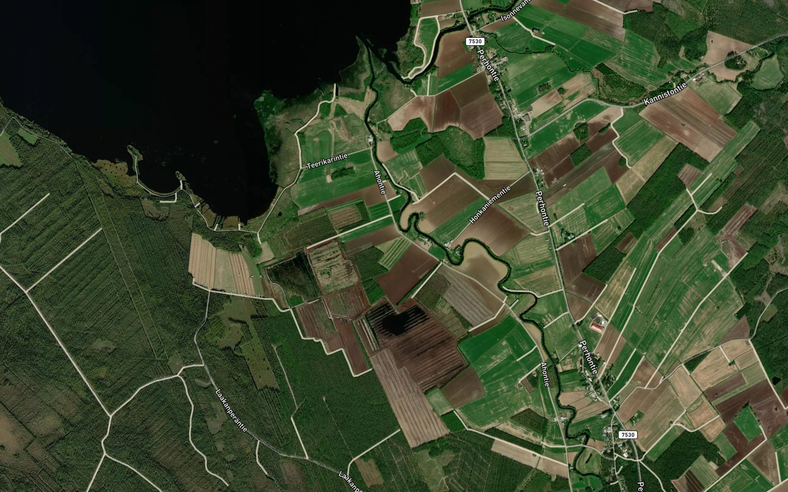 Halsuanjoki